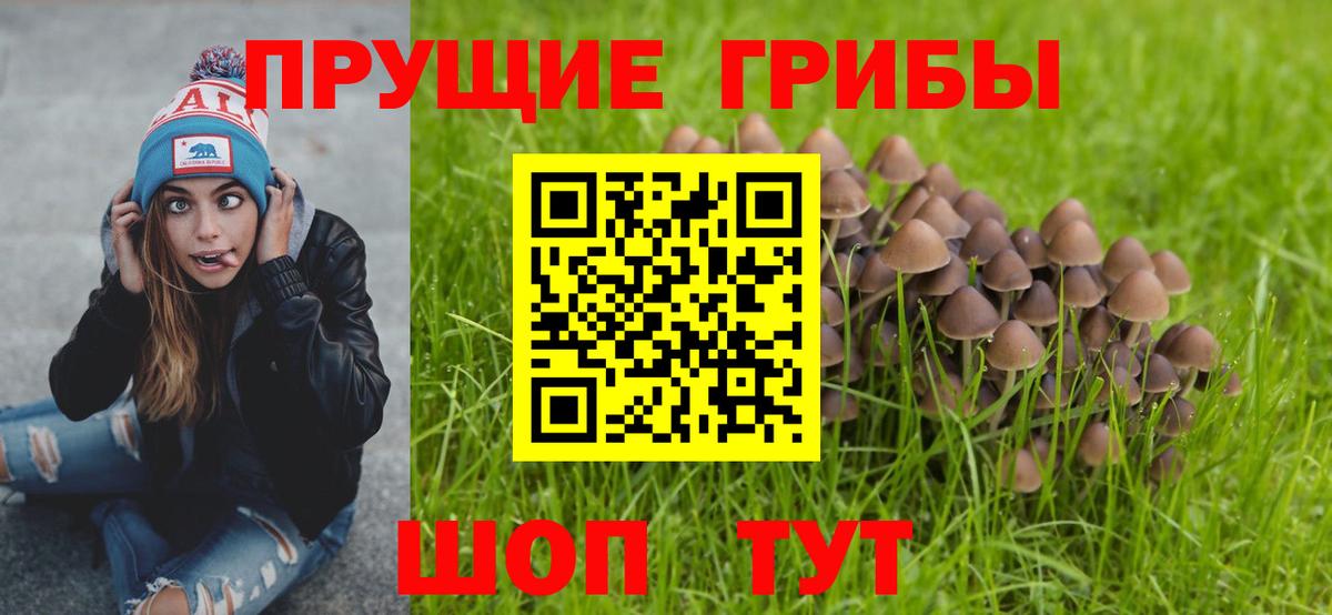 Галлюциногенные грибы Psilocybe Копейск