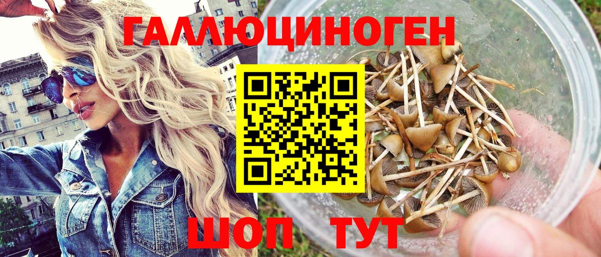 Галлюциногенные грибы мухоморы  Вход с VPN  Псилоцибиновые грибы Psilocybine cubensis  купить  сайты  Копейск 